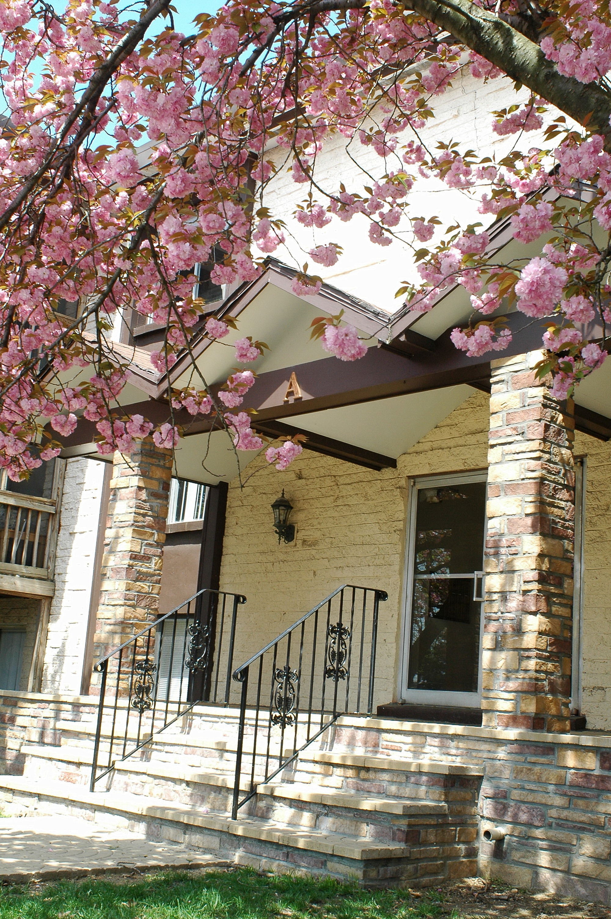 View Photos Driftwood Club Apartments, Inc