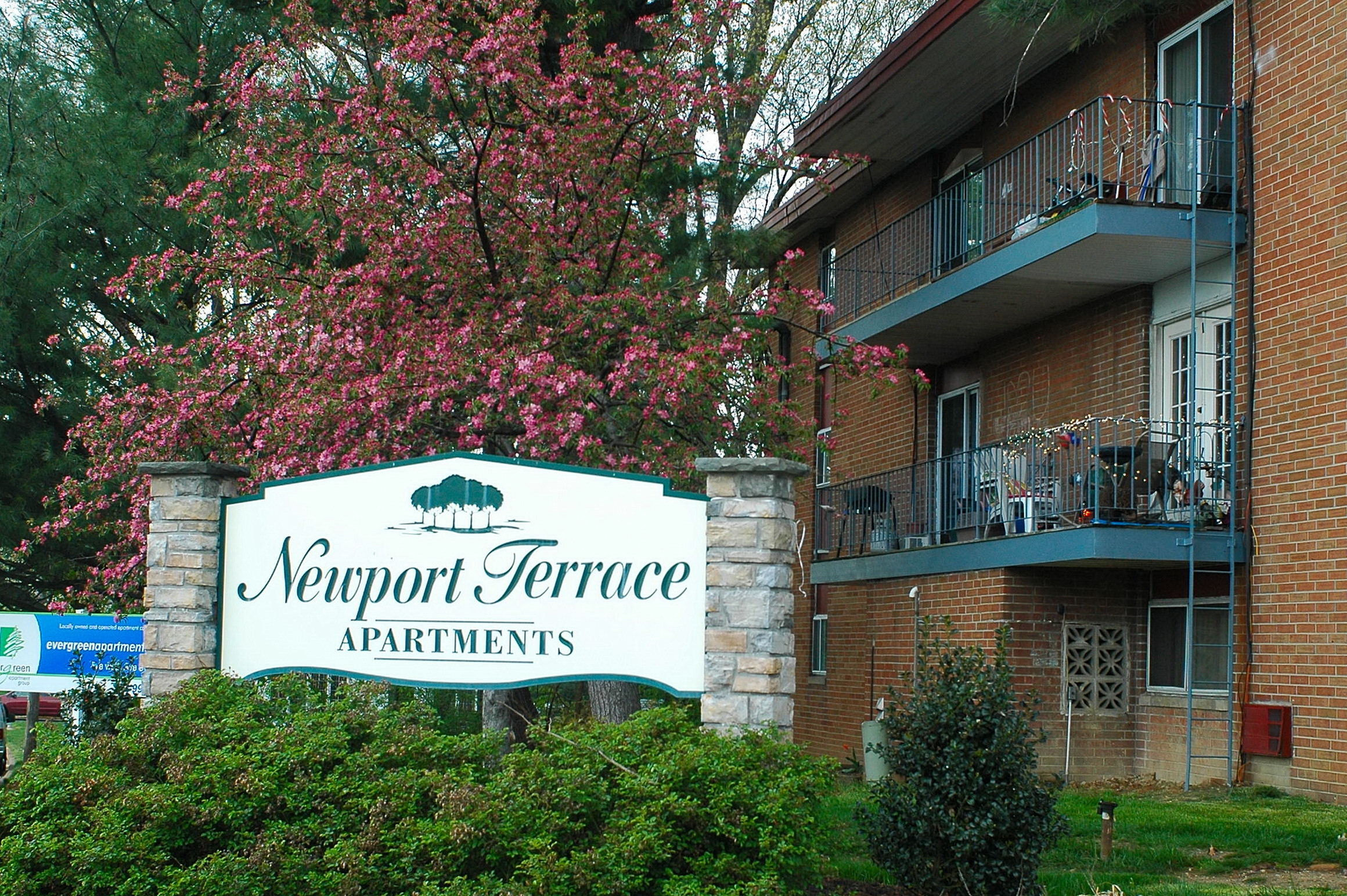View Photos Newport Terrace Apartments