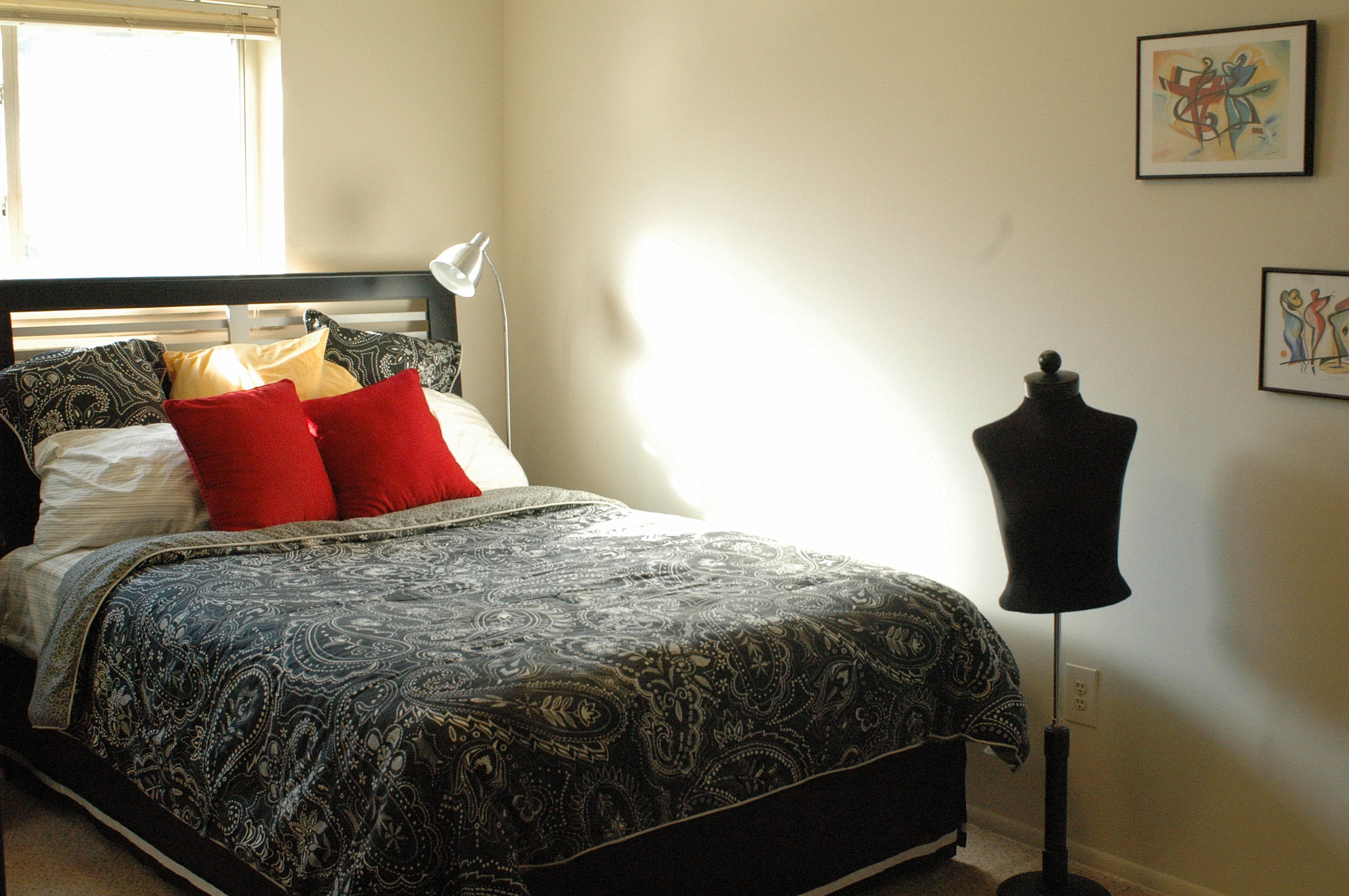 View Photos Newport Terrace Apartments