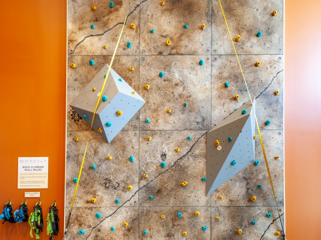 Image of 16 Ft. Rock Climbing Wall for The Donovan