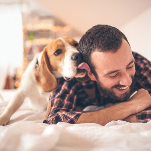 Merino at Scottsdale Apartments In Scottsdale, AZ