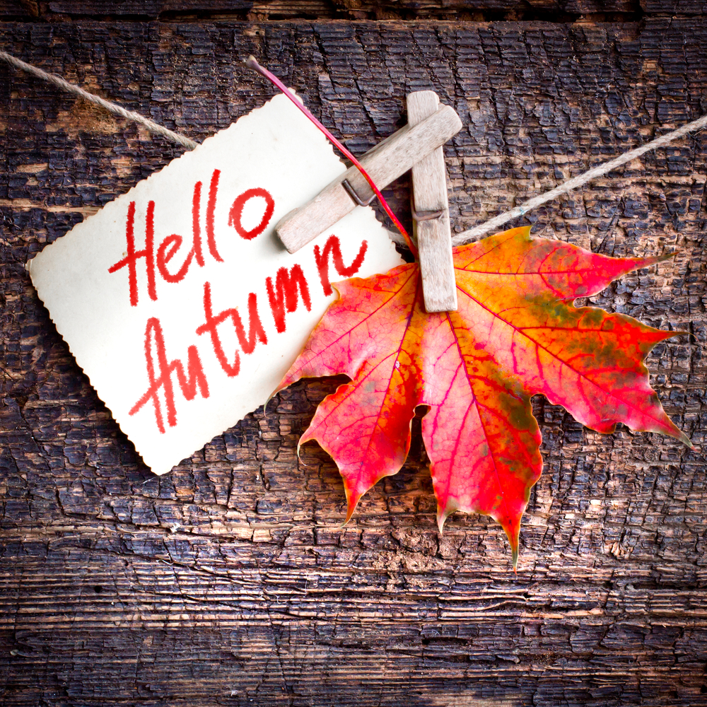 Fall Crafts to Bring the Season Indoors