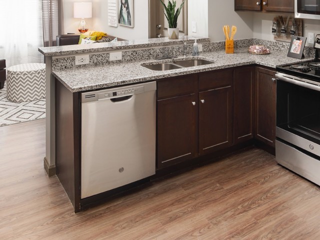 Image of Dishwasher for College View
