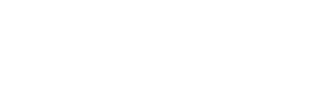 domain at town center logo