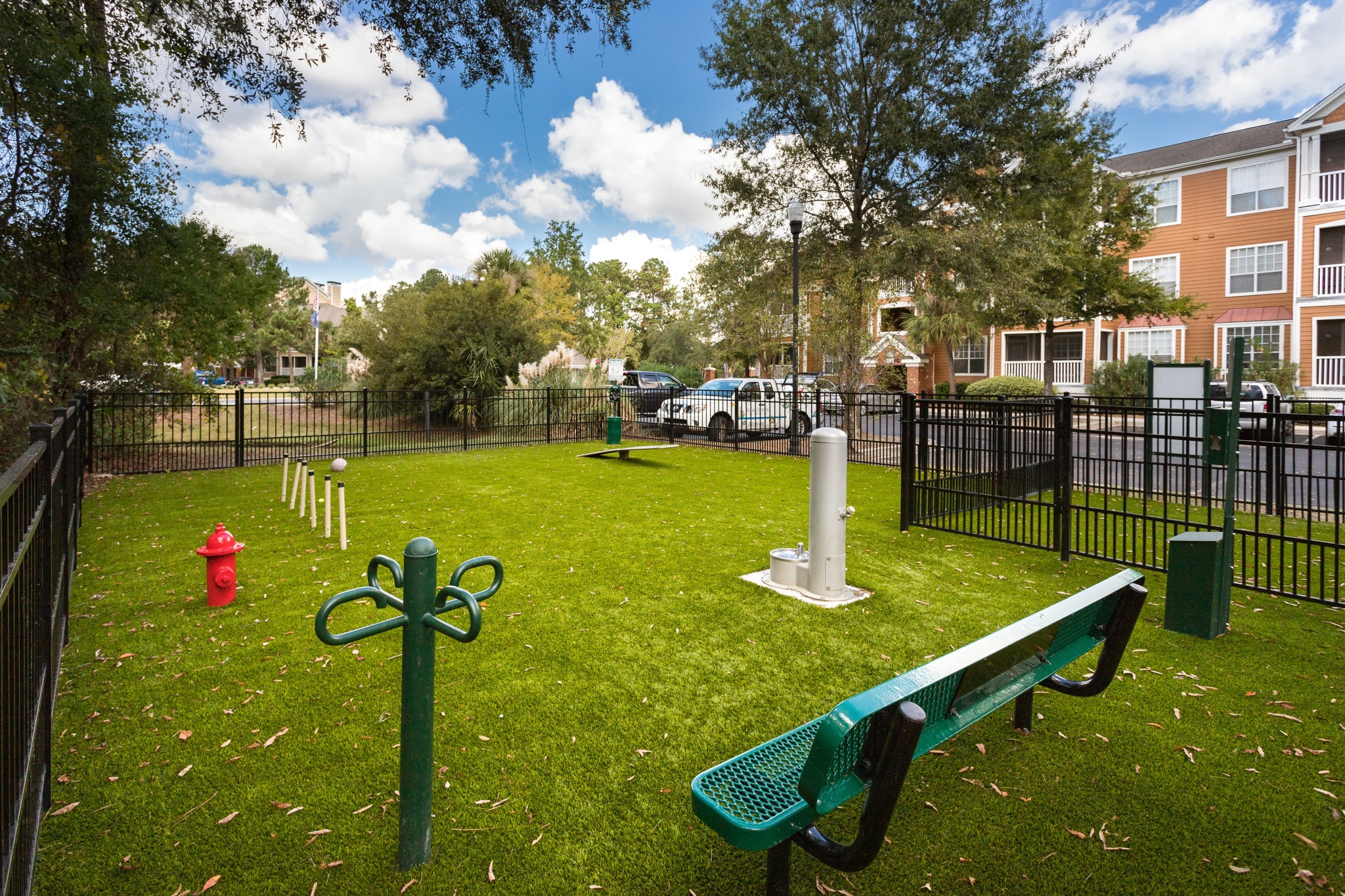 dog park