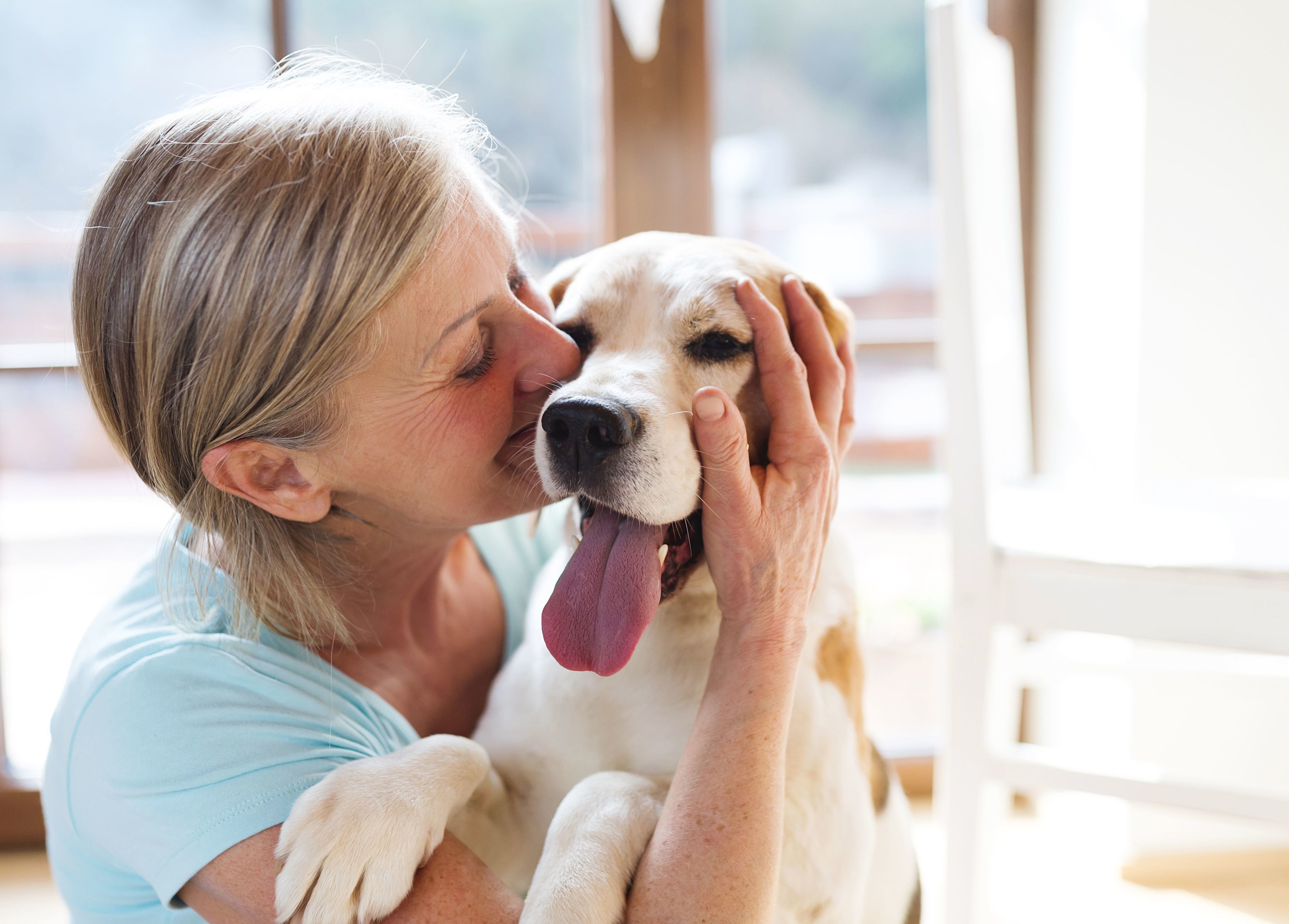 Tips on Moving to your New Home with Pets-image