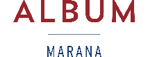 album logo homepage link