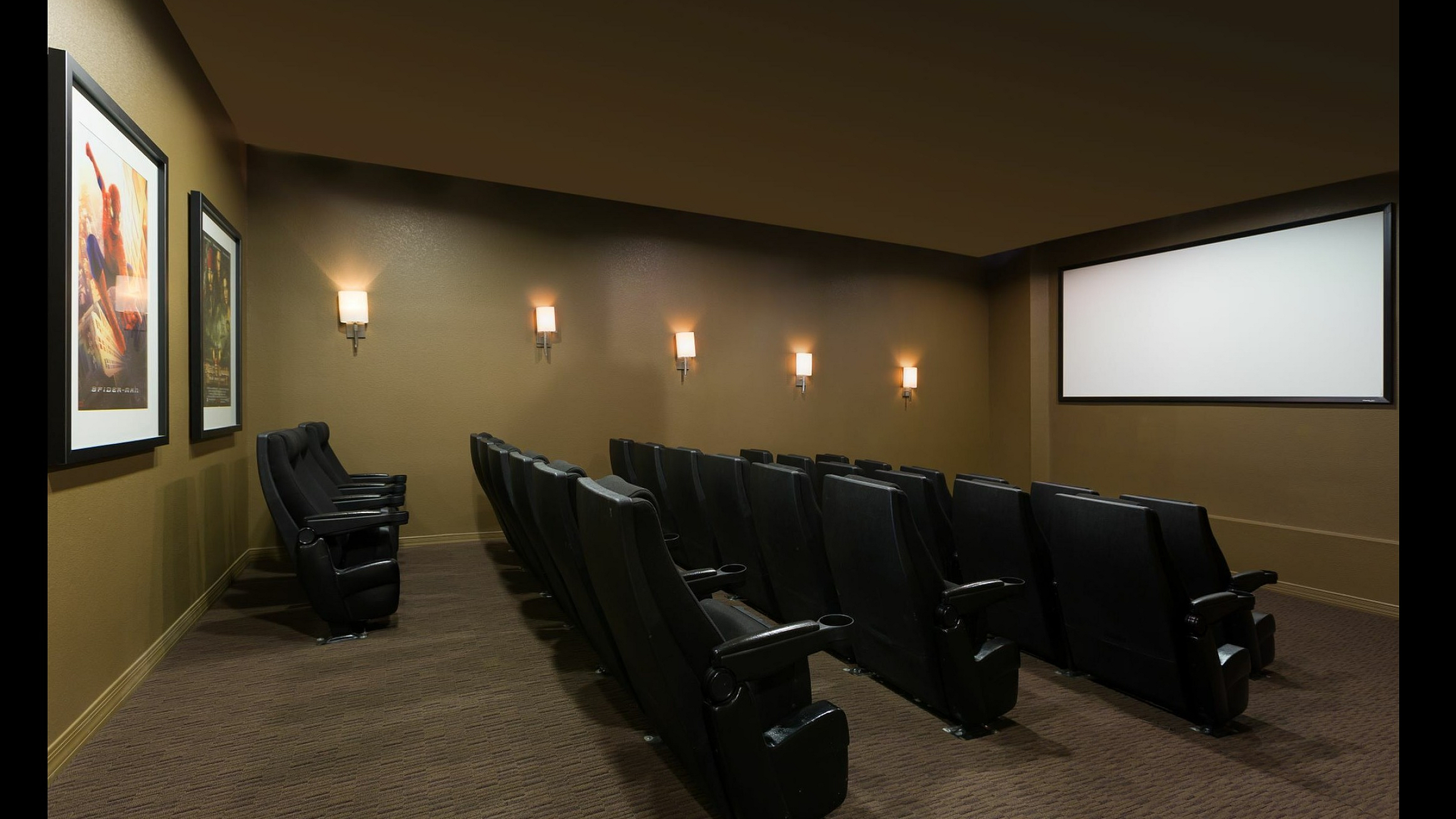 Theatre Room