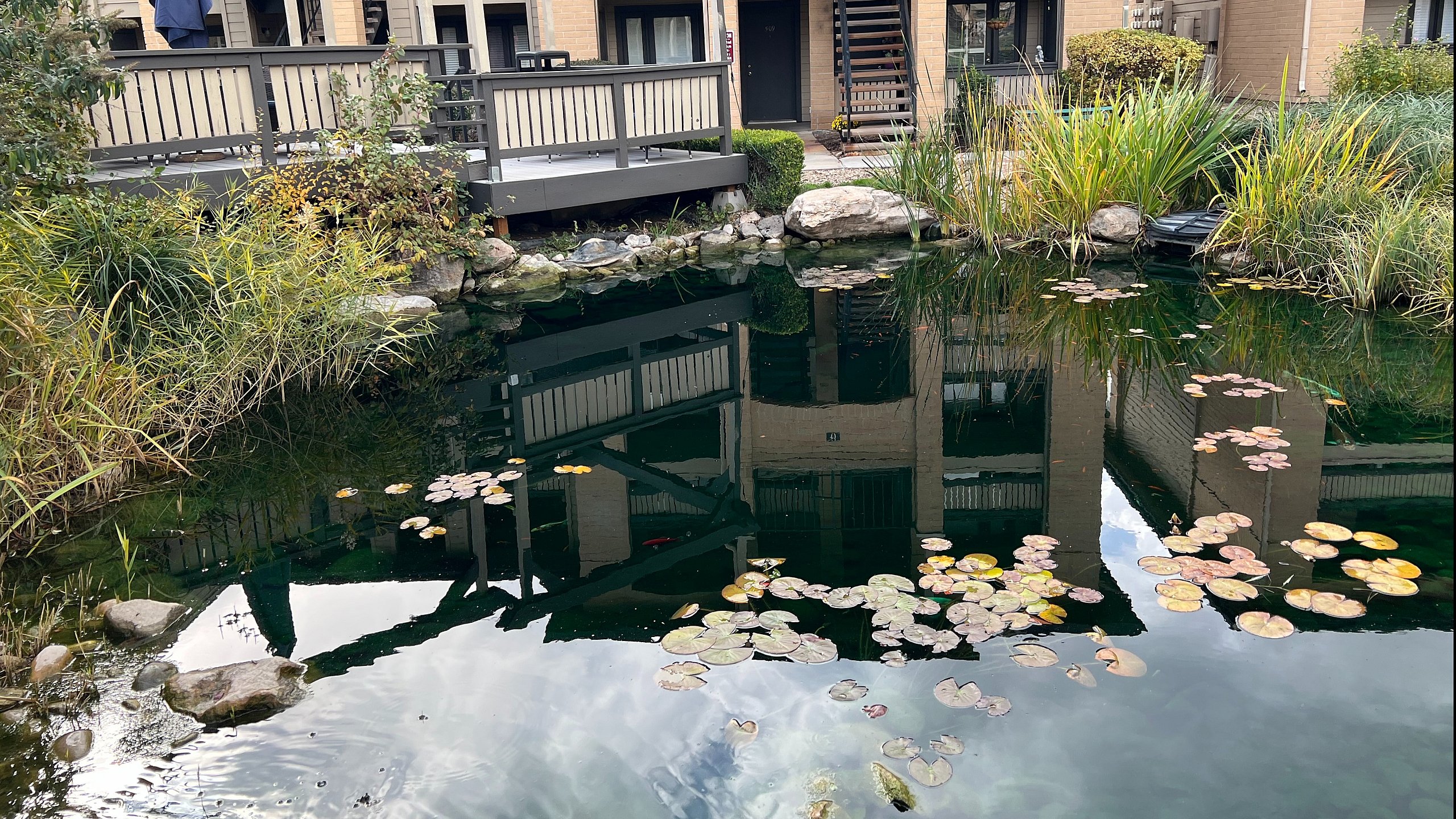 Pond