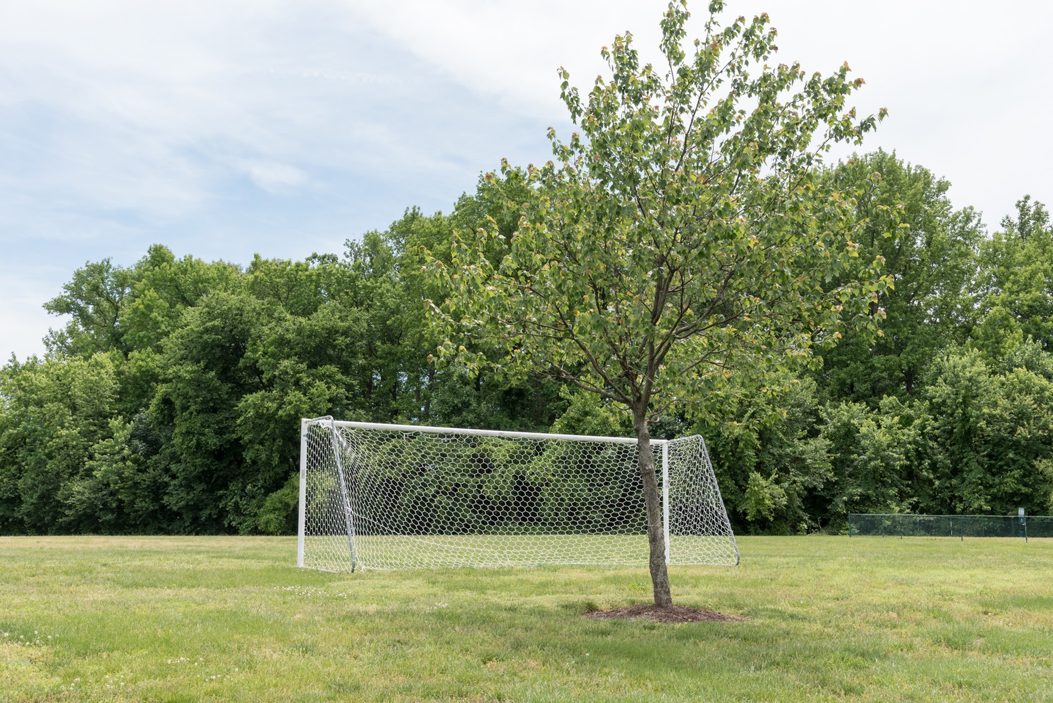 View Photos & Take A Virtual Tour Kilburn Crossing