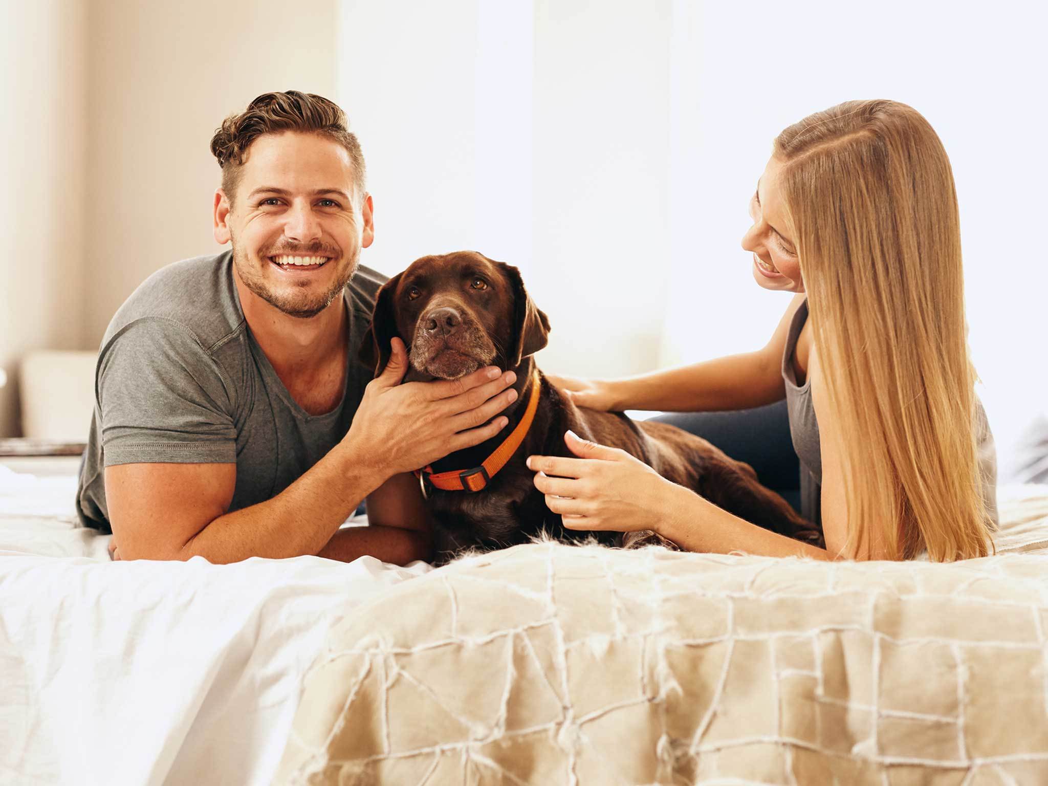 Pet friendly rental homes in West Fork Conroe TX