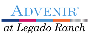 Innovative Advenir logo with vibrant color stripes and elegant typography.
