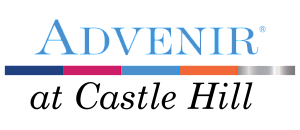 Elegant Advenir logo with a stylish color palette and modern design elements.