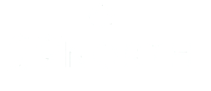 Contemporary 29 North logo featuring a sleek, modern design with bold typography and a minimalist graphic element.