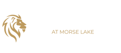 Lion's Creek
