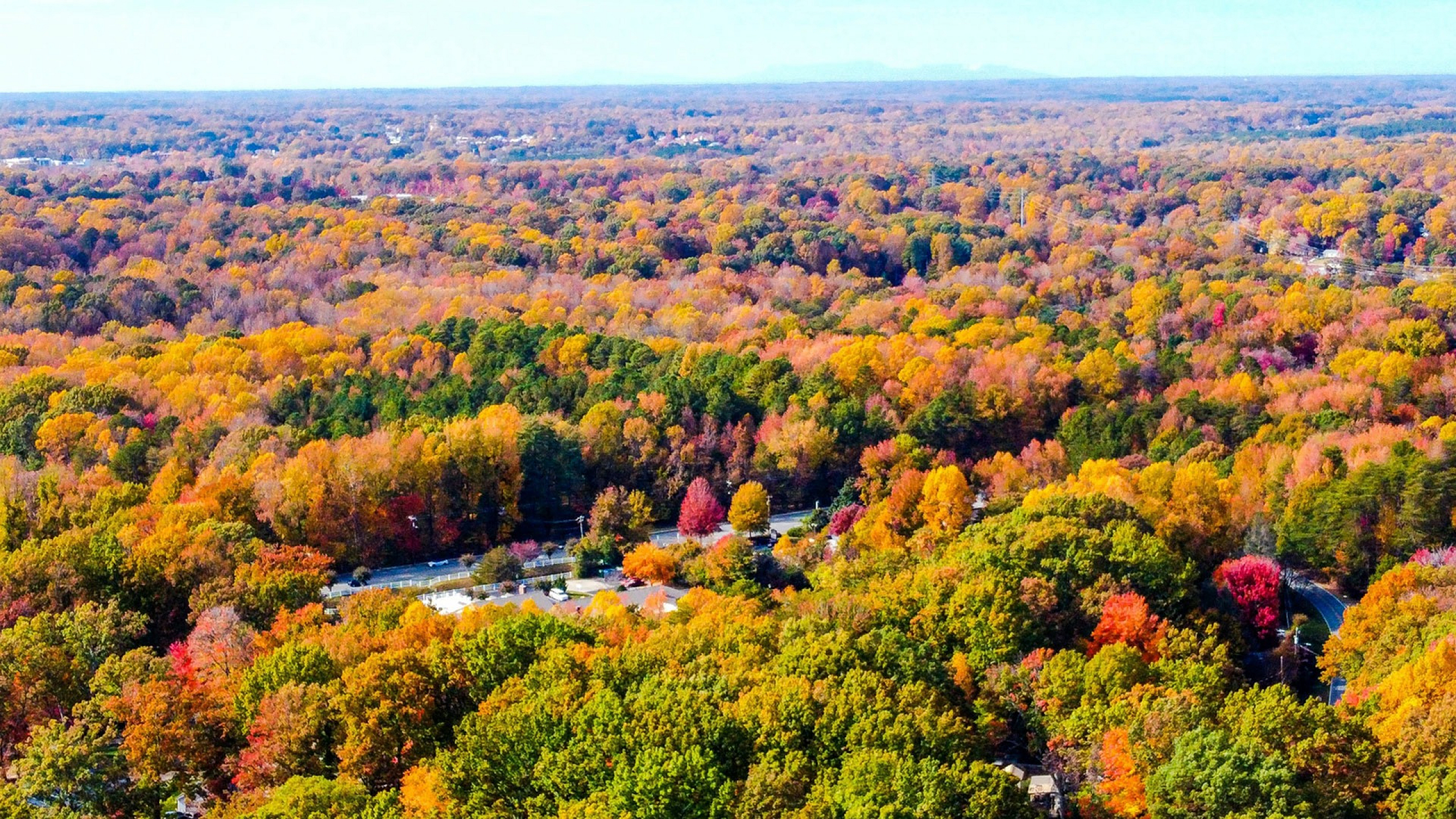 Greensboro, NC