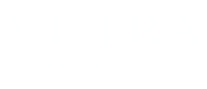 Elegant logo designs for Vetra Providence, featuring distinctive text in a stylish format.