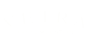 Elegant logo for Views at Signal Mountain featuring a stylized mountain graphic.