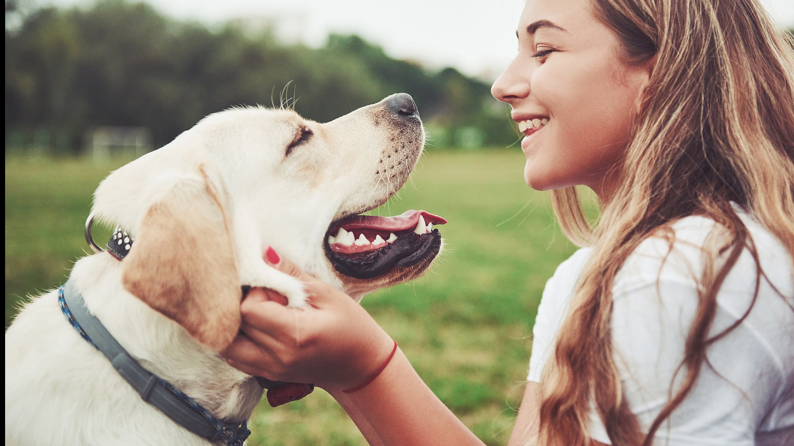 Joyful young woman bonding with a happy Labrador in a lush green park setting.