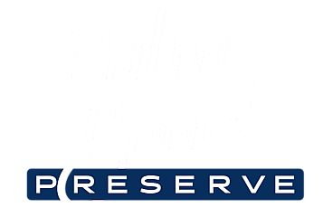 Palm Beach Logo
