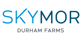 Landing Logo