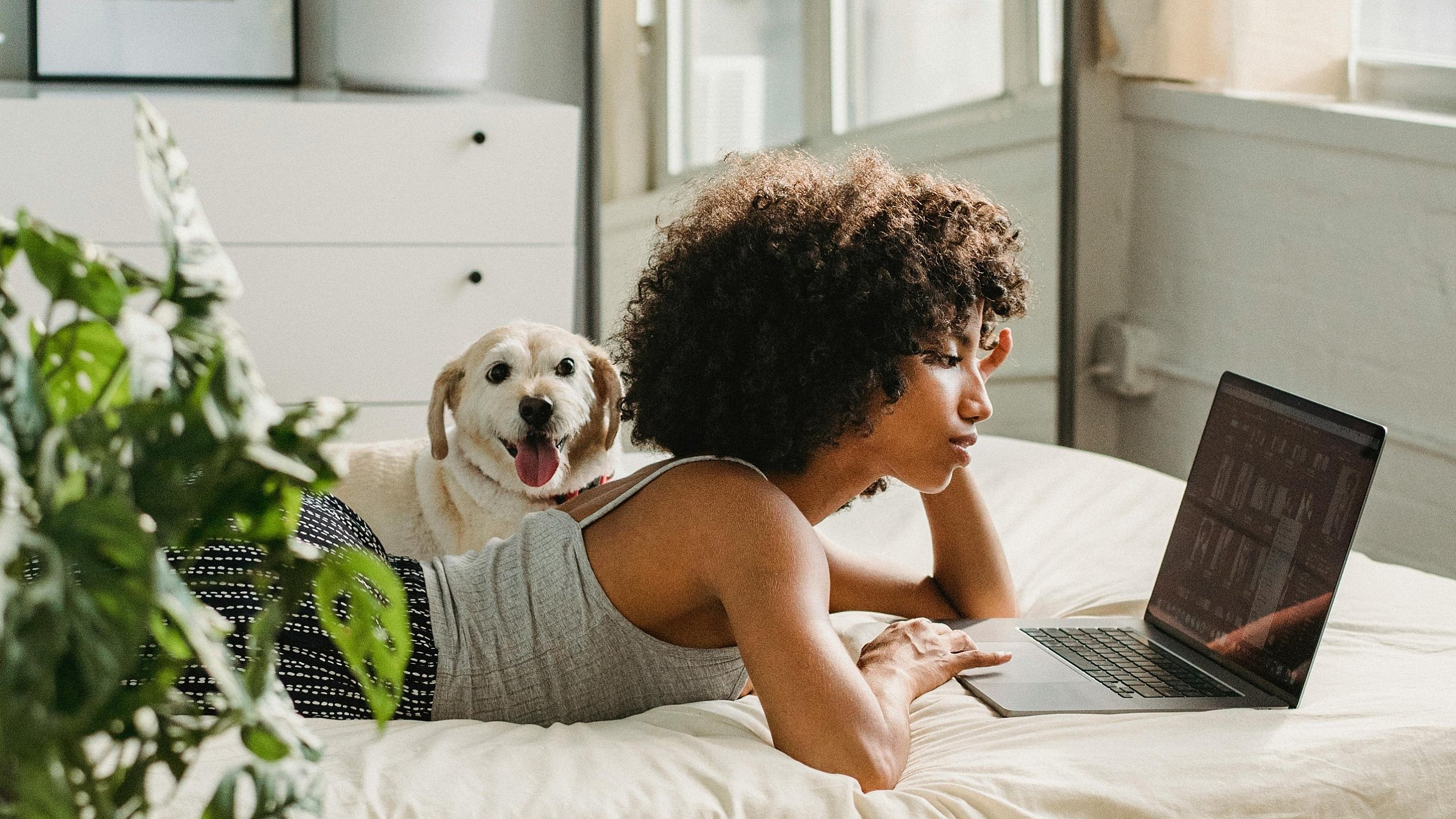 Inviting bedroom with large windows, lush green plants, and a cozy atmosphere, featuring a person working on a laptop on a stylish bed with a happy dog nearby.