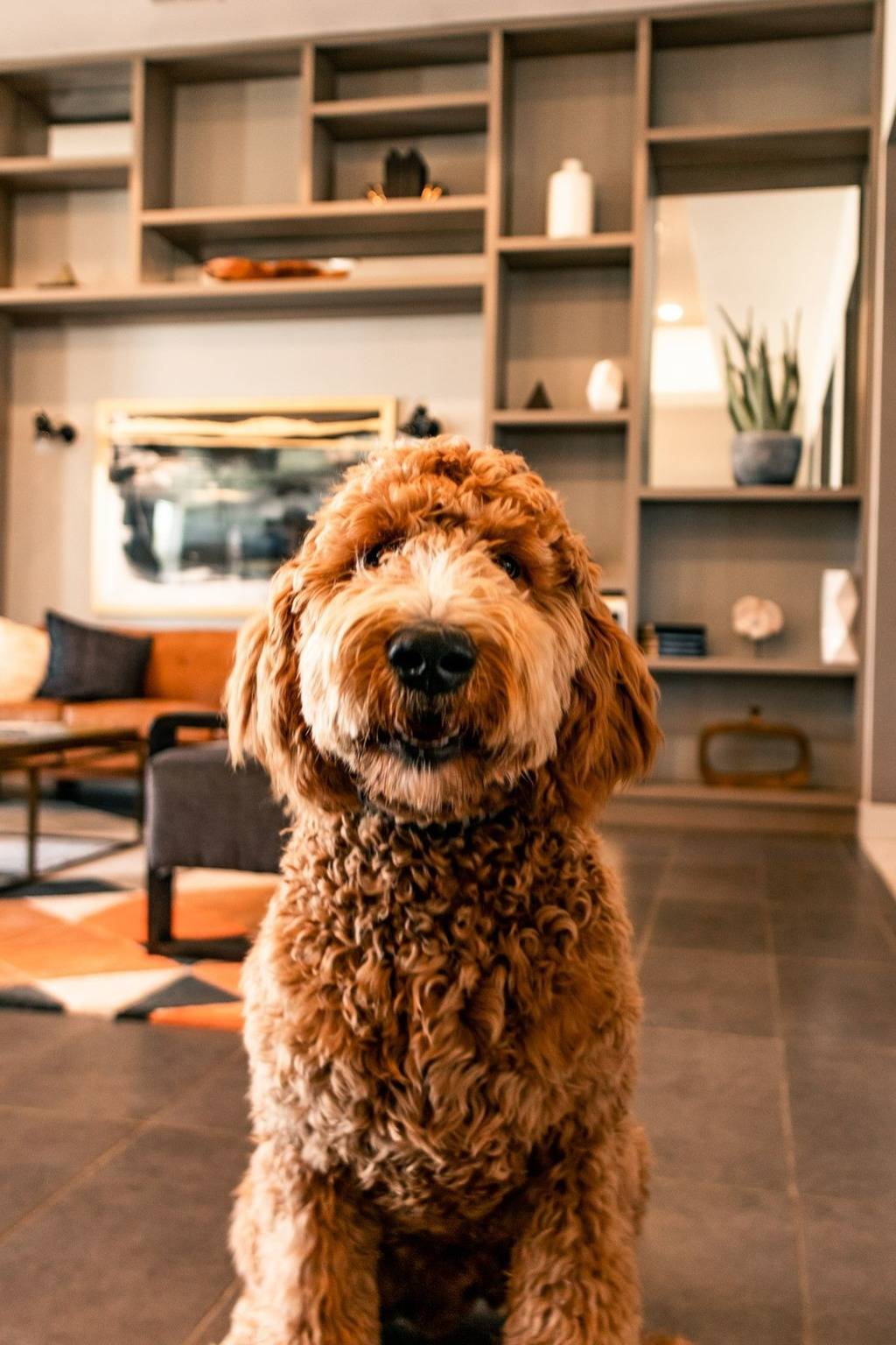 Echo Park - Pet Friendly Community