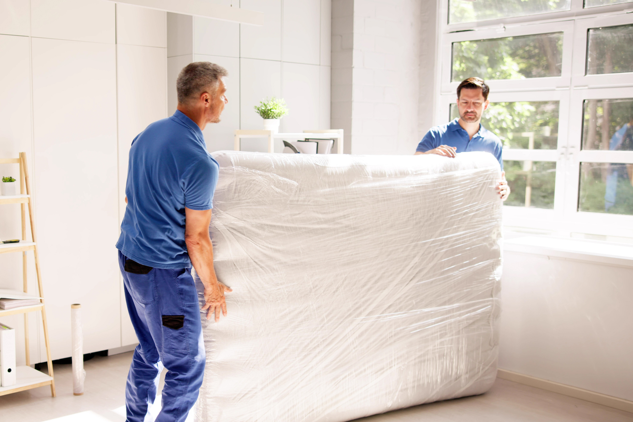Skilled movers showcasing teamwork and interior decoration