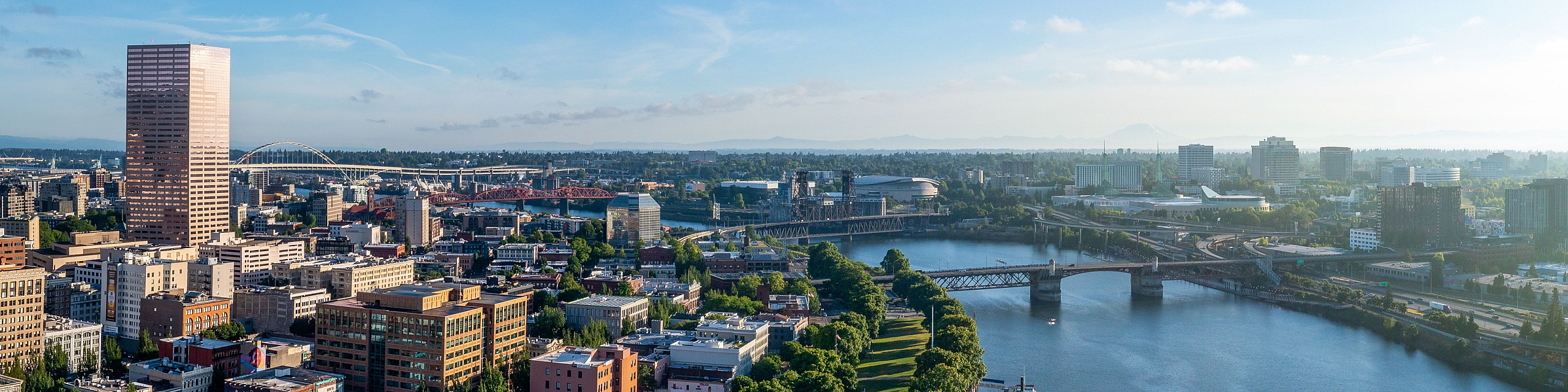 Expansive cityscape view showcasing a vibrant urban skyline with lush green spaces and a tranquil river, offering an ideal blend of nature and modern living.