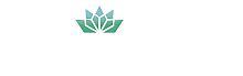 Logo for The Preserve at Tuscaloosa, featuring a stylized green and blue geometric design above the text.