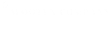 The Wooten Company Logo image