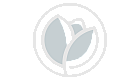 Elegant logo featuring a stylized tulip design enclosed in a circle, symbolizing growth and harmony.