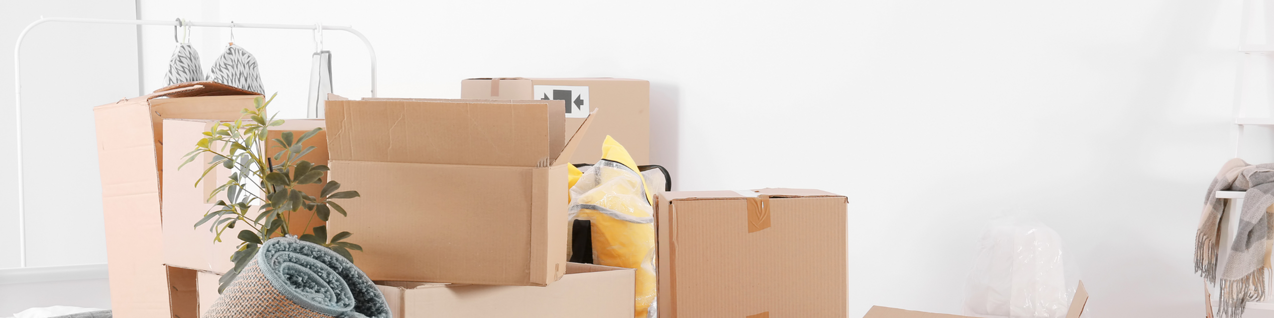 Inviting room with moving boxes, cozy blankets, and vibrant green plant ready for a fresh start.