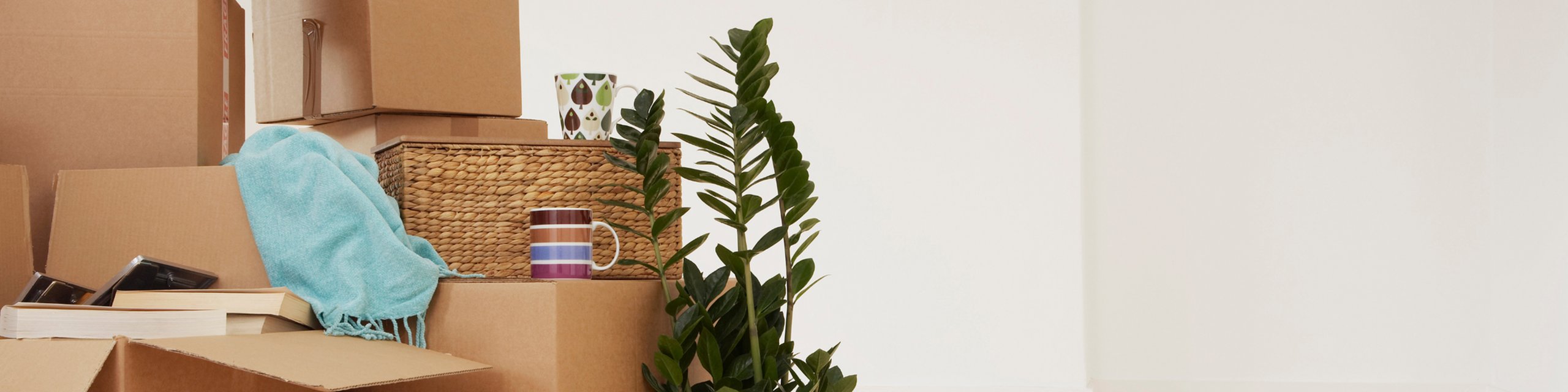 Inviting space filled with moving boxes, a vibrant plant, and cozy decorative mugs, ready for transformation into your dream home.
