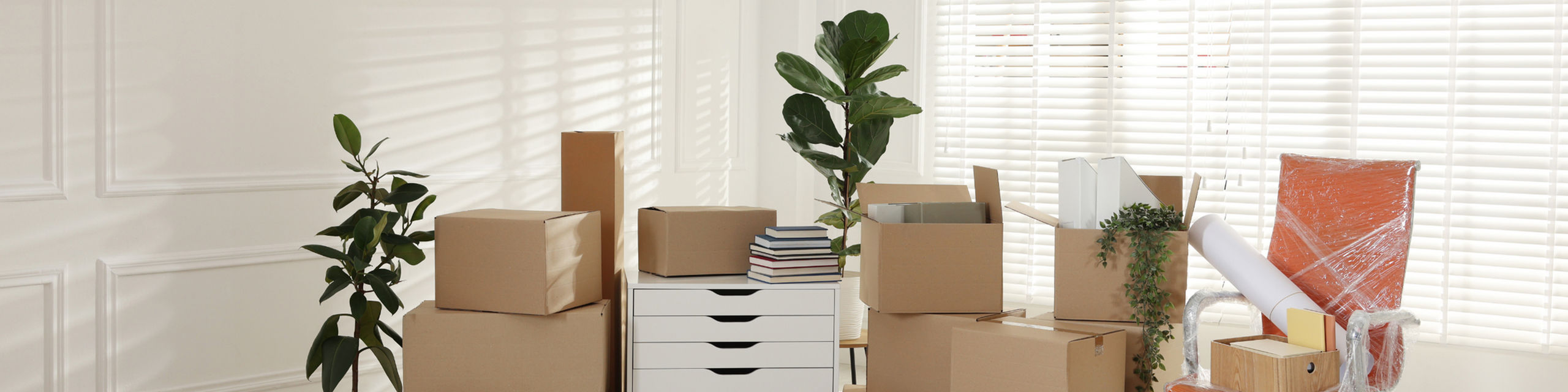 Bright room filled with moving boxes, modern white drawers, and lush green plants, suggesting a fresh start in a stylish living space.