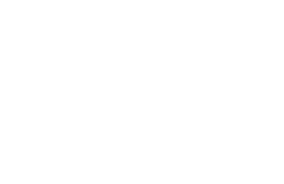 The Fourty One Logo