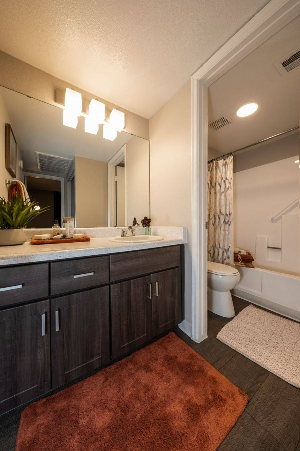 Photo Gallery Cala Paradise Valley Apartments in Phoenix Arizona