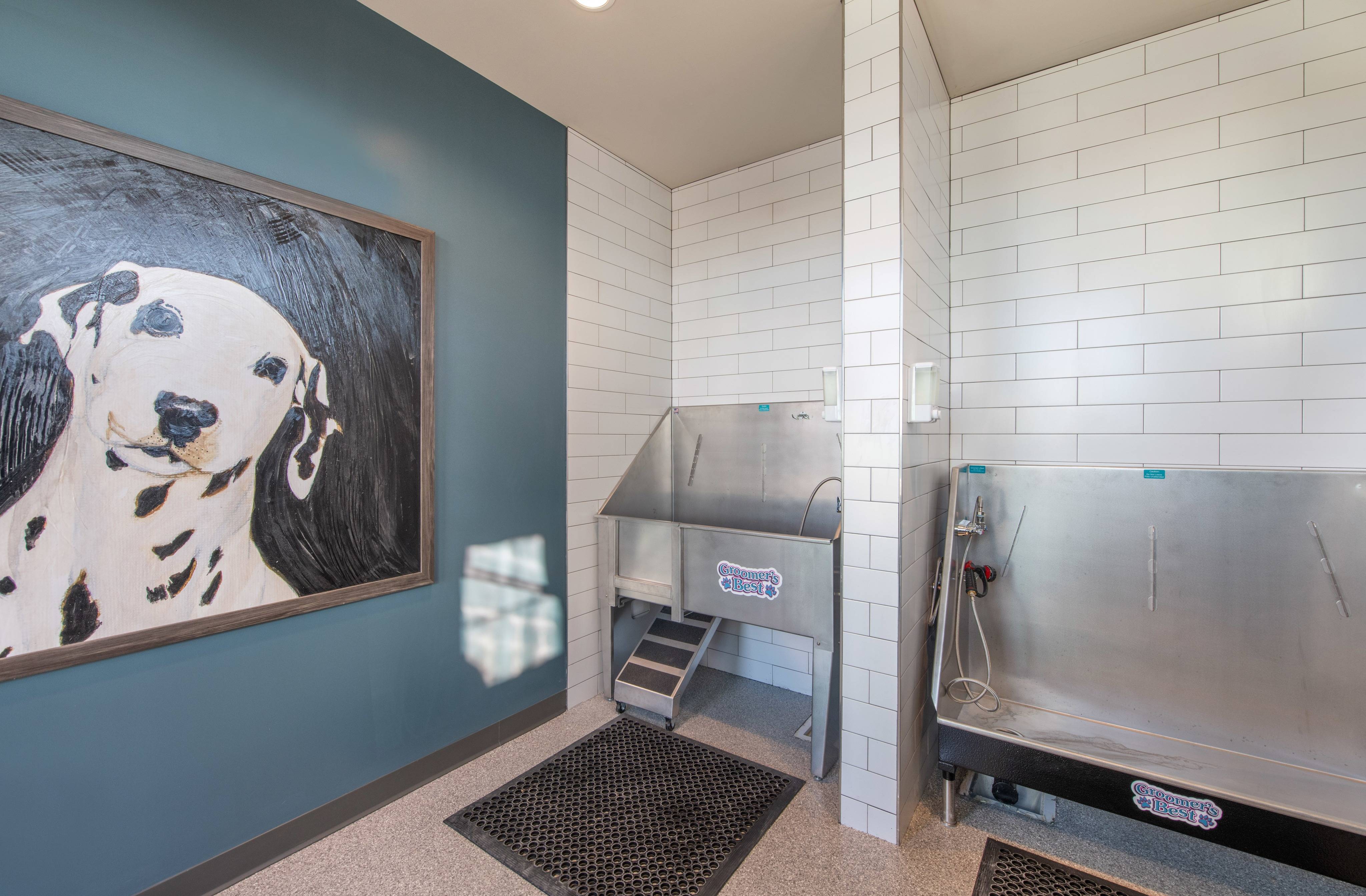 Paw Spa pet wash