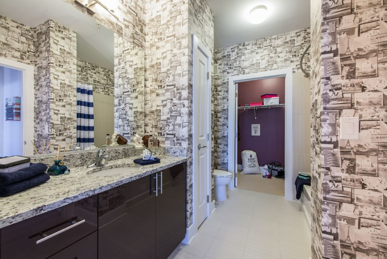 Amenities Maven at Wheaton Apartments for Rent in Silver Spring