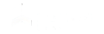 Modern logo for 29th Street Living, designed with a sleek geometric icon.