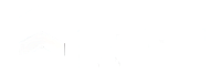 Modern logo for 29th Street Living featuring sleek geometric design and bold typography.