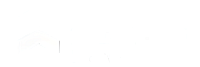 Modern 29th Street Living logo with sleek geometric design and bold typography.