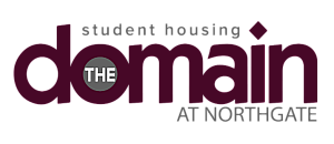 Modern logo for The Domain at Northgate, highlighting premium student housing options.