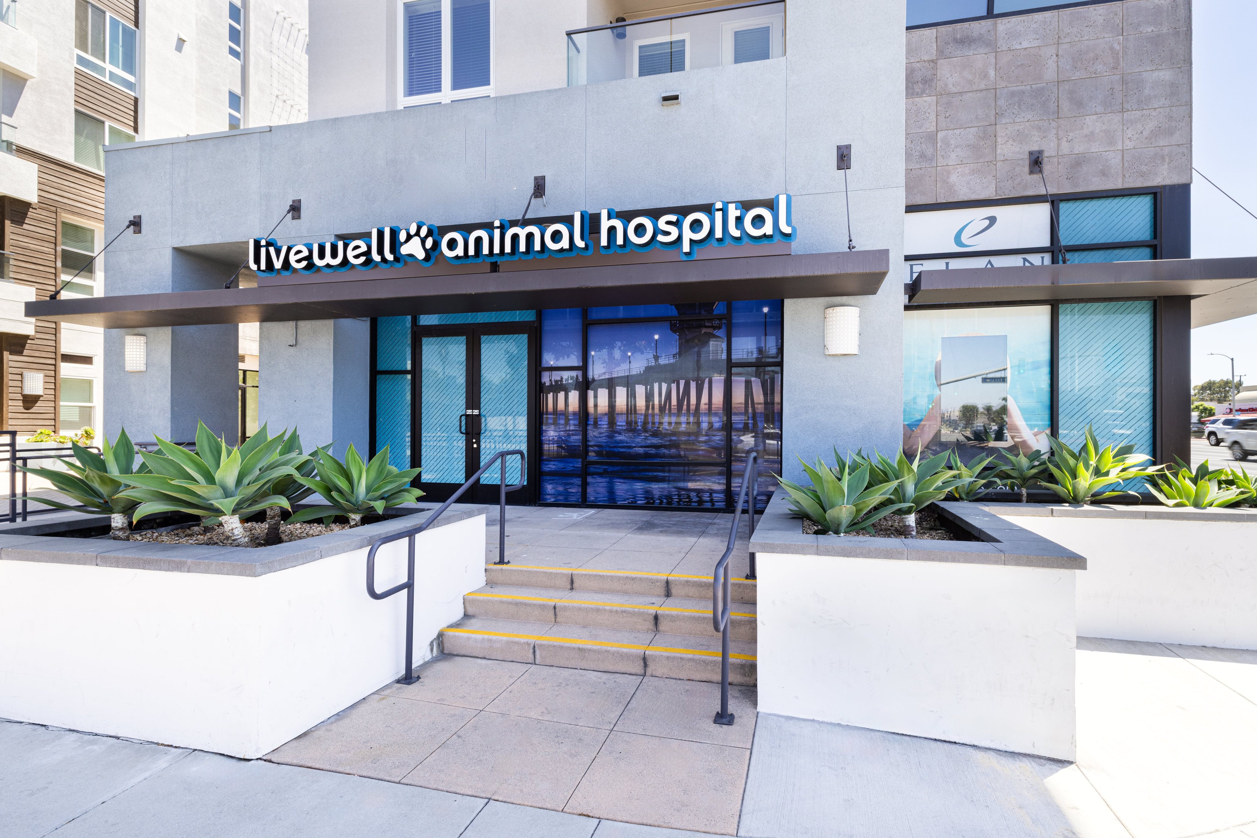 Livewell Animal Hospital