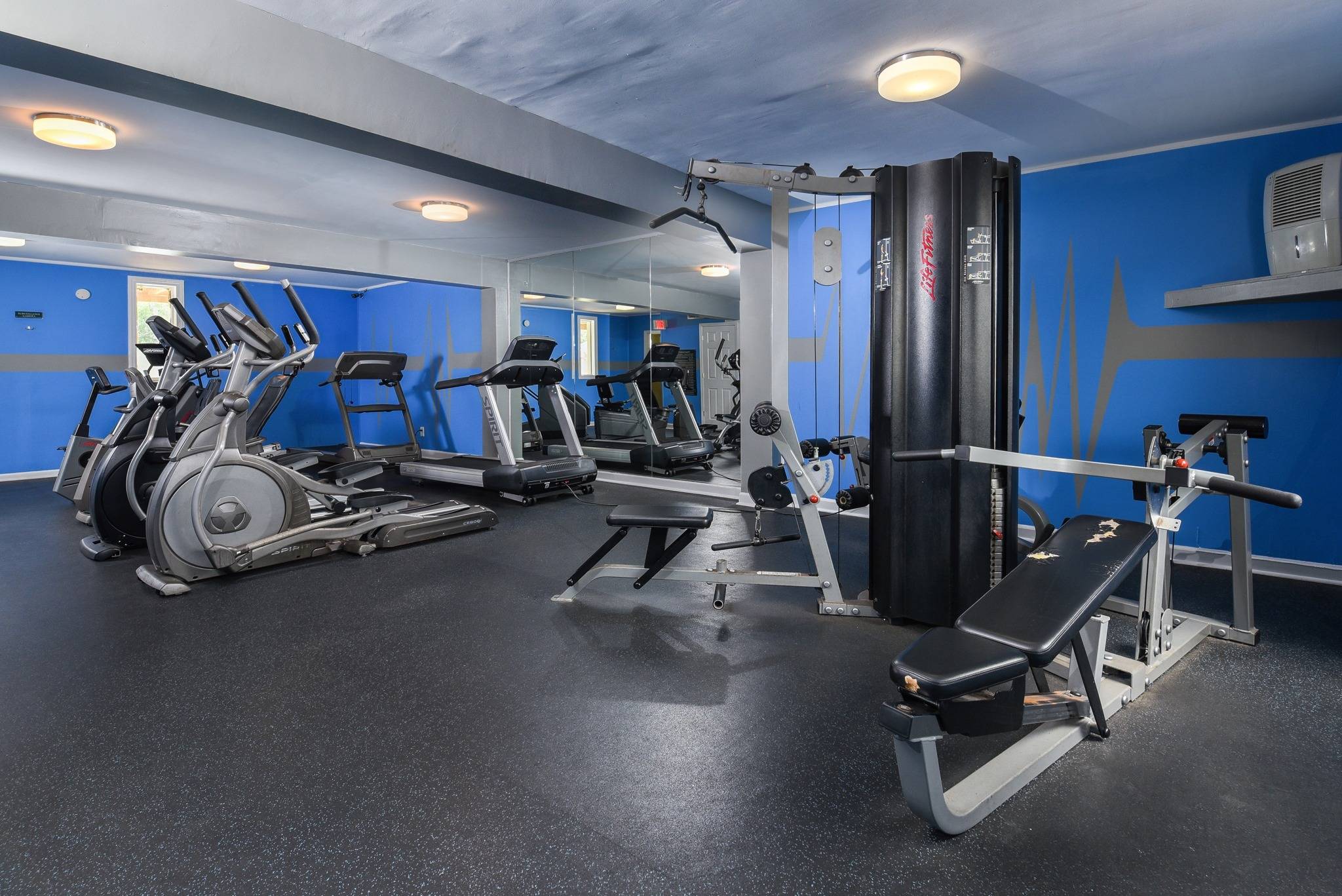 Fitness Center | Weight Machine | Cardio Equipment