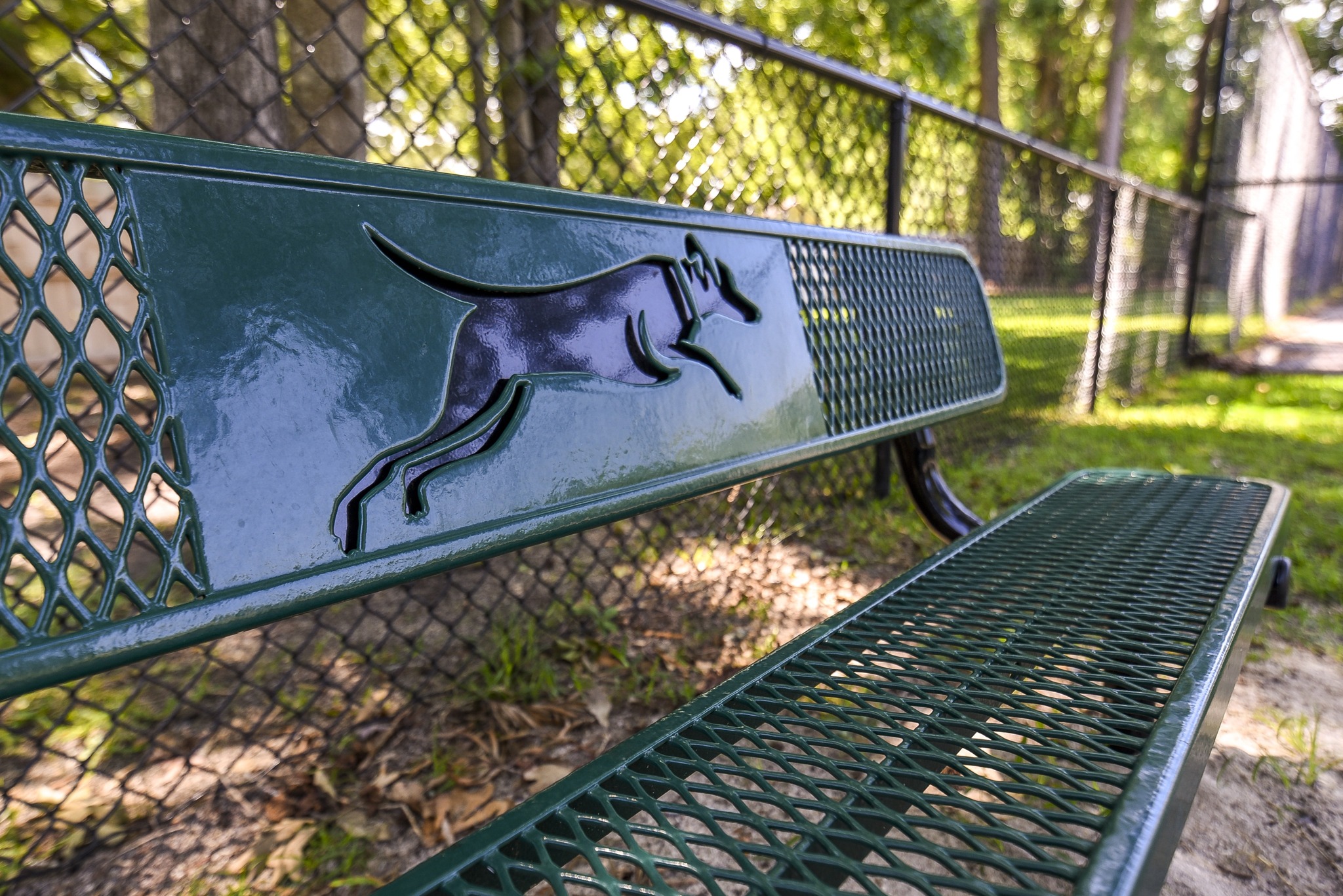Dog Park Bench | Picture of a dog running