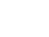 Canyon Point logo