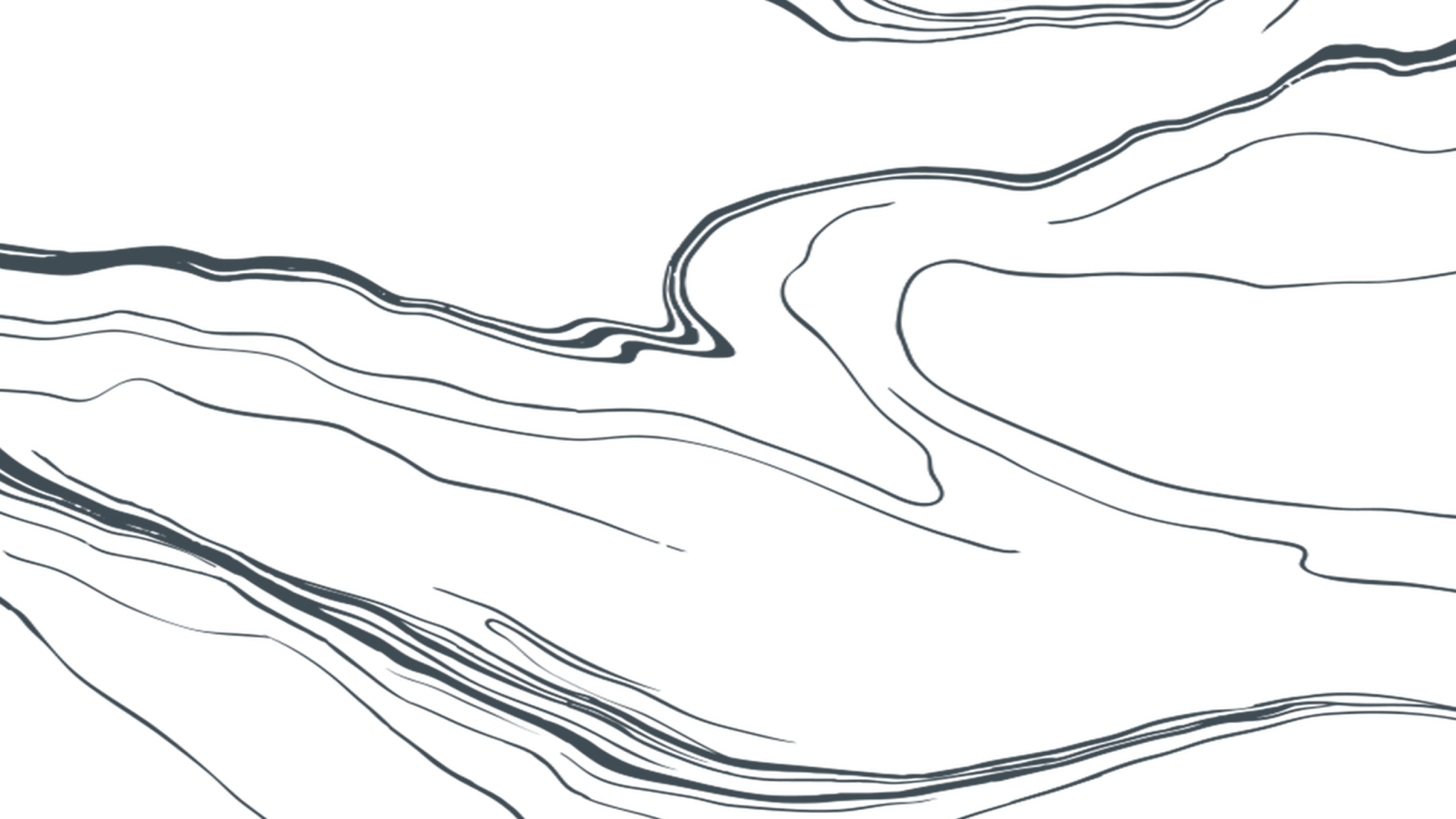 Abstract topographic map design with flowing contour lines in dark gray.