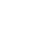 Birchstone white logo