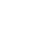 Logo White